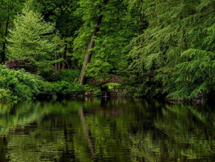 Ponadto do dyspozycji naszych Gości jest: